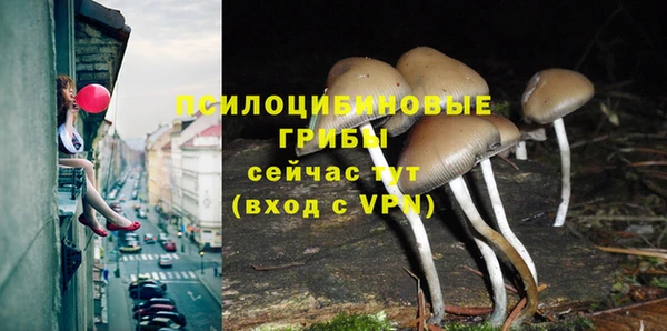 мяу мяу кристалл Белокуриха