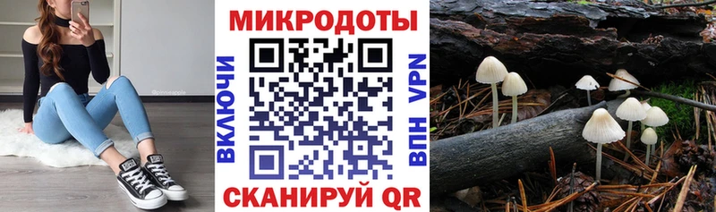 Псилоцибиновые грибы MAGIC MUSHROOMS Надым