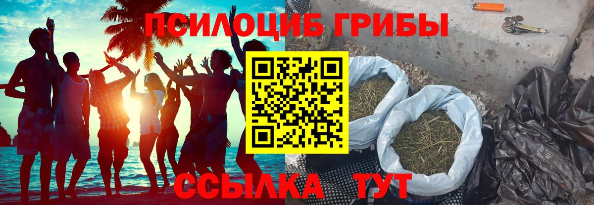 Надым  Псилоцибиновые грибы прущие грибы  Вход с VPN  Псилоцибиновые грибы мухоморы 