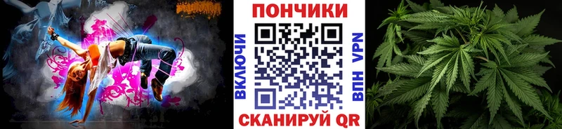Каннабис сатива  даркнет сайт  Надым 